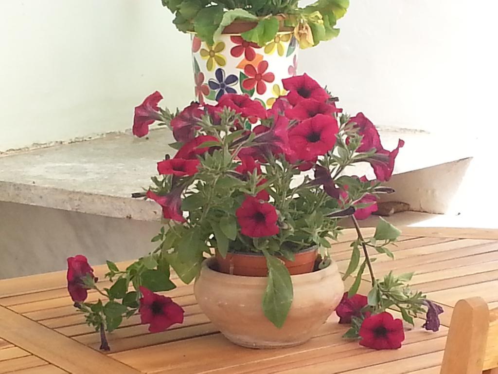 Il Giardino Del Purgatorio Apartamento Marsala Exterior foto